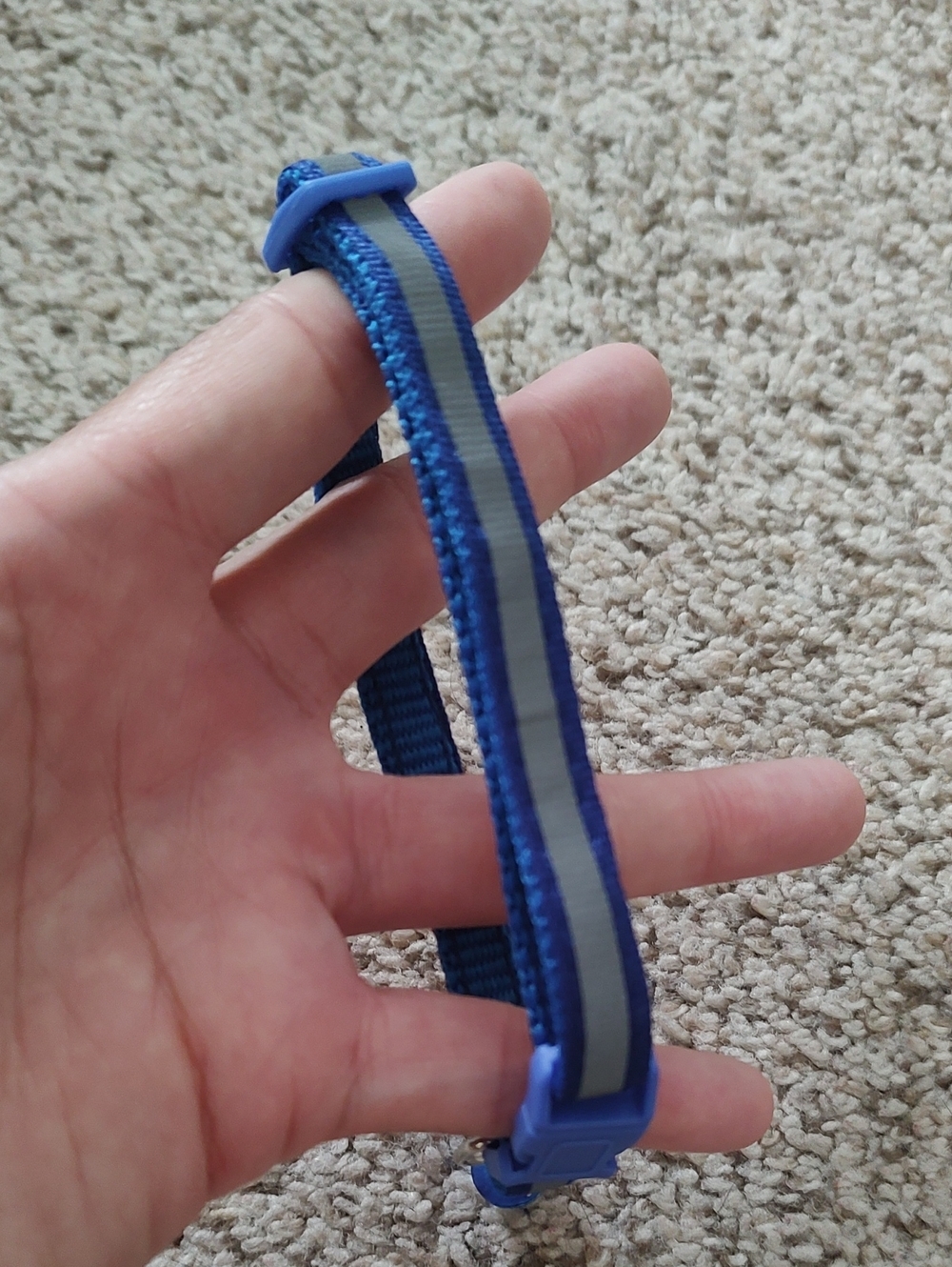 (8) Reflective Cat Collars - Picture 8 of 10